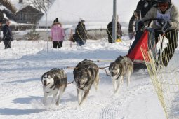 Lenk 2012 SM